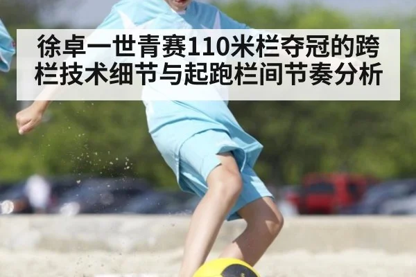 徐卓一世青赛110米栏夺冠的跨栏技术细节与起跑栏间节奏分析